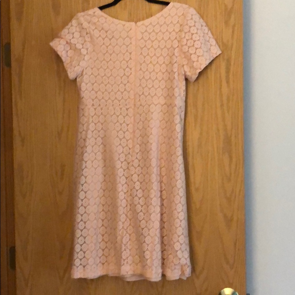 Pink Lace Rabbit Rabbit Rabbit Designs Dress - Picture 2 of 3